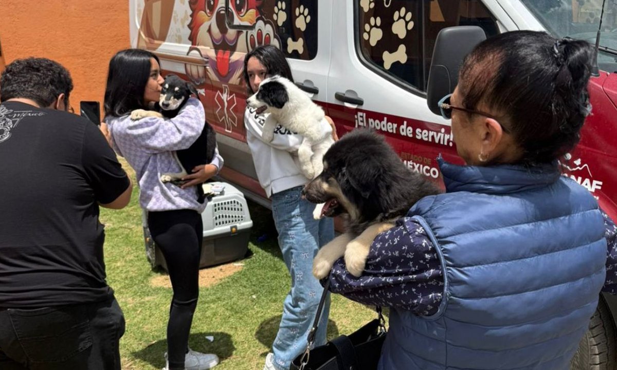 Rescatan a “Mantequilla” y sus cachorros en Ciudad Universitaria de la UAEMéx
