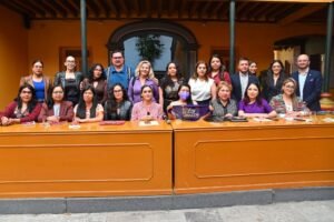 violencia ácida o química