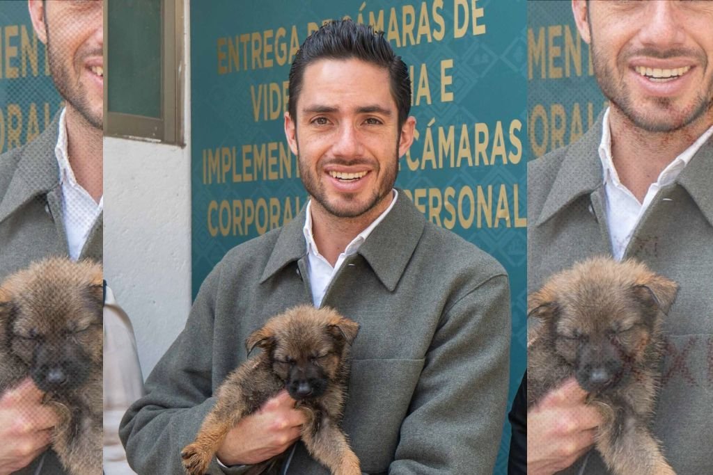 aprueban diputados verdes