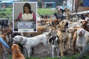 sacrificio masivo de animales