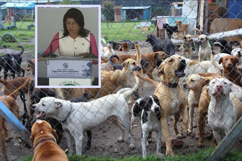 sacrificio masivo de animales