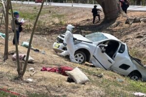 murio el perro familiar