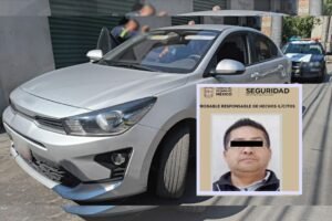 rata del facebook en Metepec