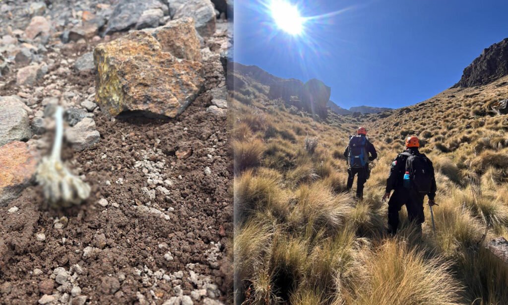 Hallazgo de hueso humano en el Iztaccíhuatl