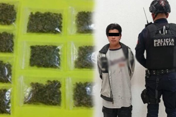 Operativo Pegaso: Aseguran droga en San Antonio la Isla