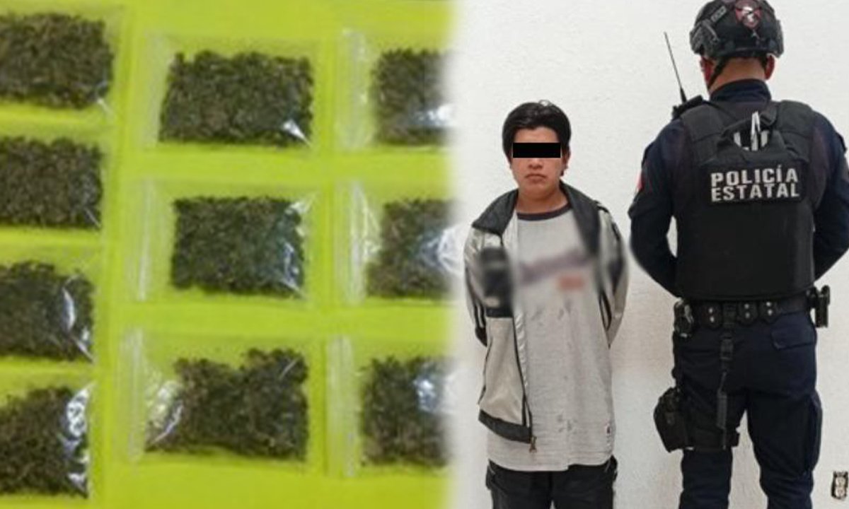 Operativo Pegaso: Aseguran droga en San Antonio la Isla