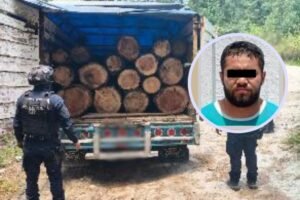 tala clandestina