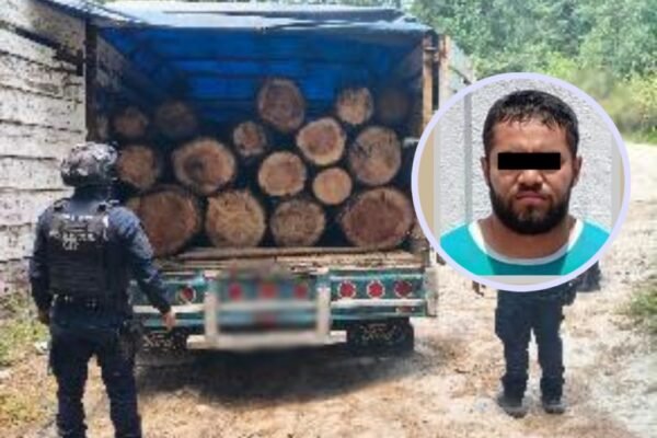 tala clandestina