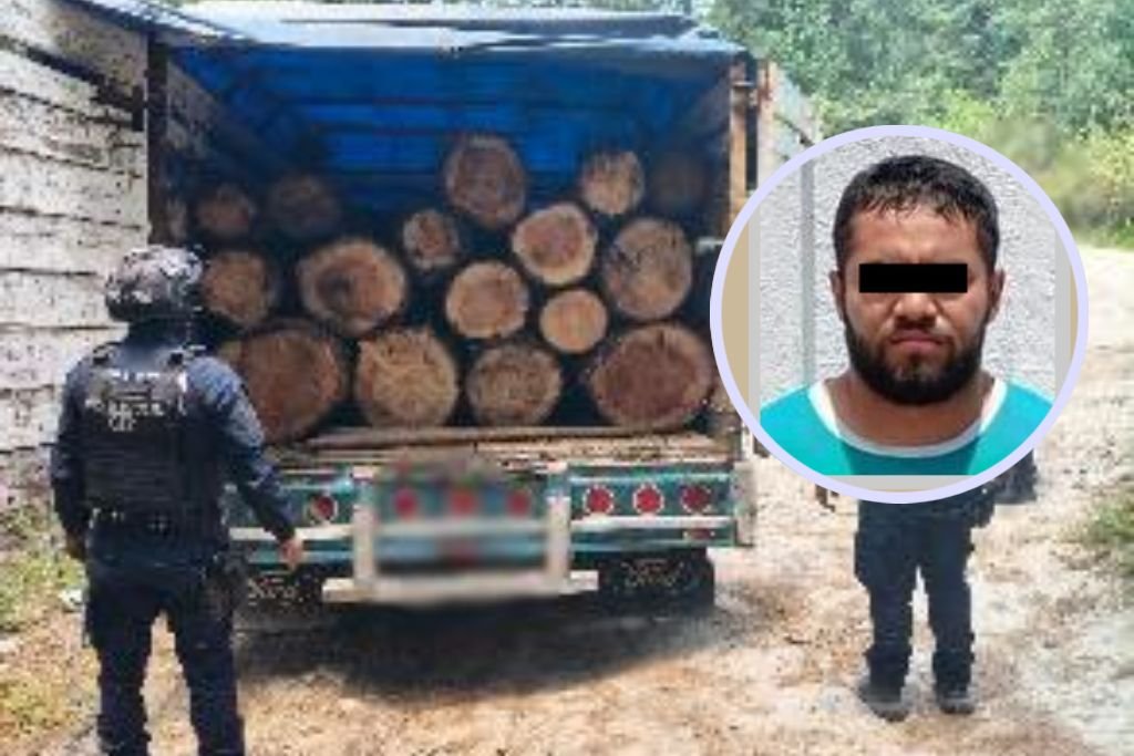tala clandestina