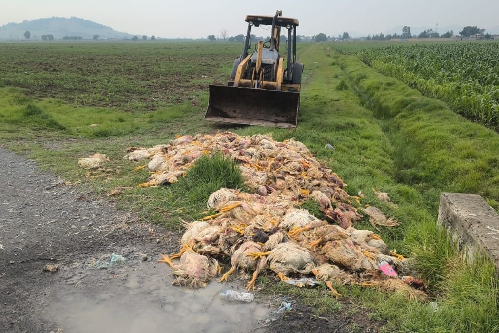 contaminan medio ambiente