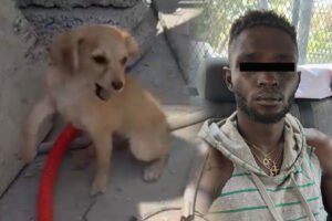 Arresto en Ecatepec por agresión a cachorro