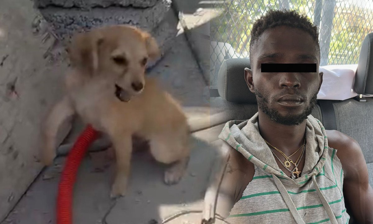 Arresto en Ecatepec por agresión a cachorro