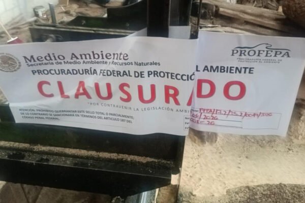 Clausuran predio con madera en Xonacatlán