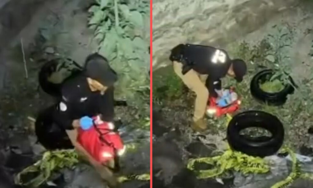 Seis cachorros son puestos a salvo tras rescate nocturno en Metepec
