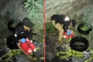 Seis cachorros son puestos a salvo tras rescate nocturno en Metepec