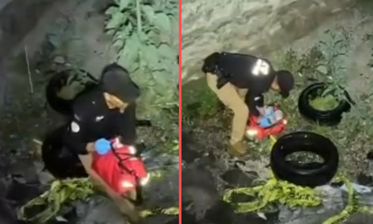 Seis cachorros son puestos a salvo tras rescate nocturno en Metepec