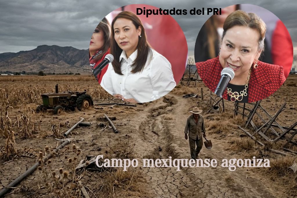 diputadas del PRI