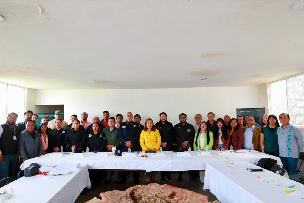 sesiona Consejo de Seguridad