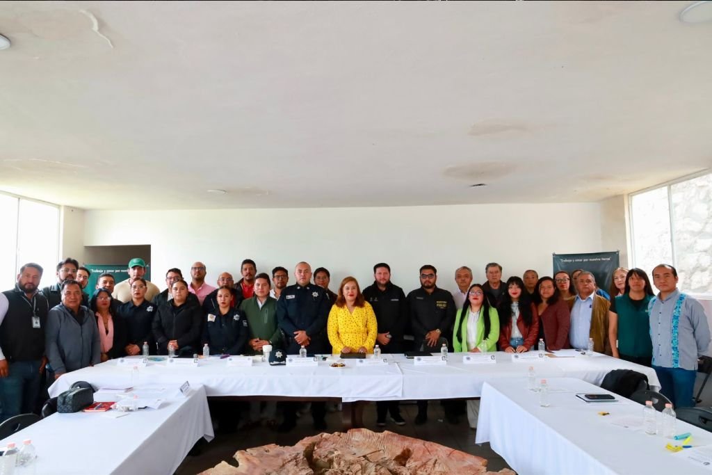 sesiona Consejo de Seguridad