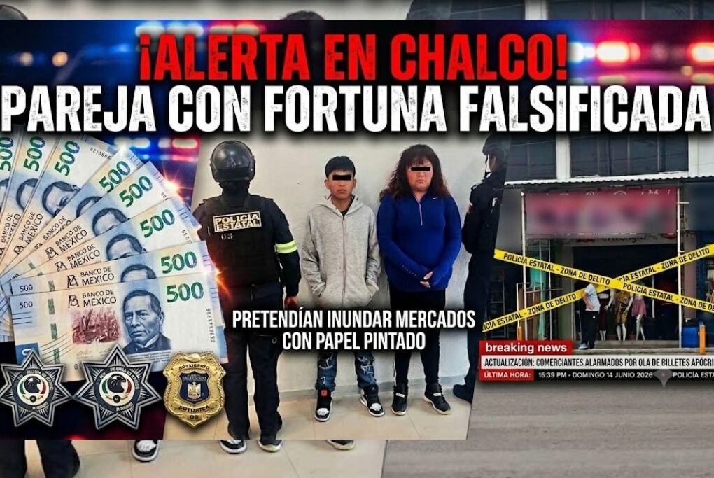 falsificadores de dinero