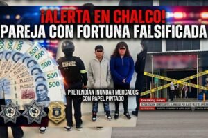 falsificadores de dinero
