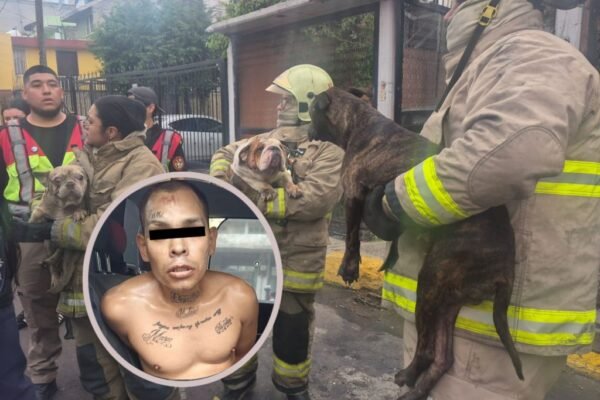 incendió a sus pareja sentimental