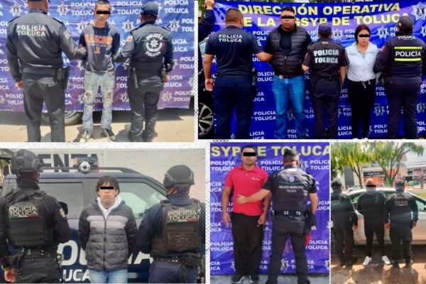 ladrones de vehiculos