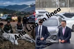 Ana Liza en línea