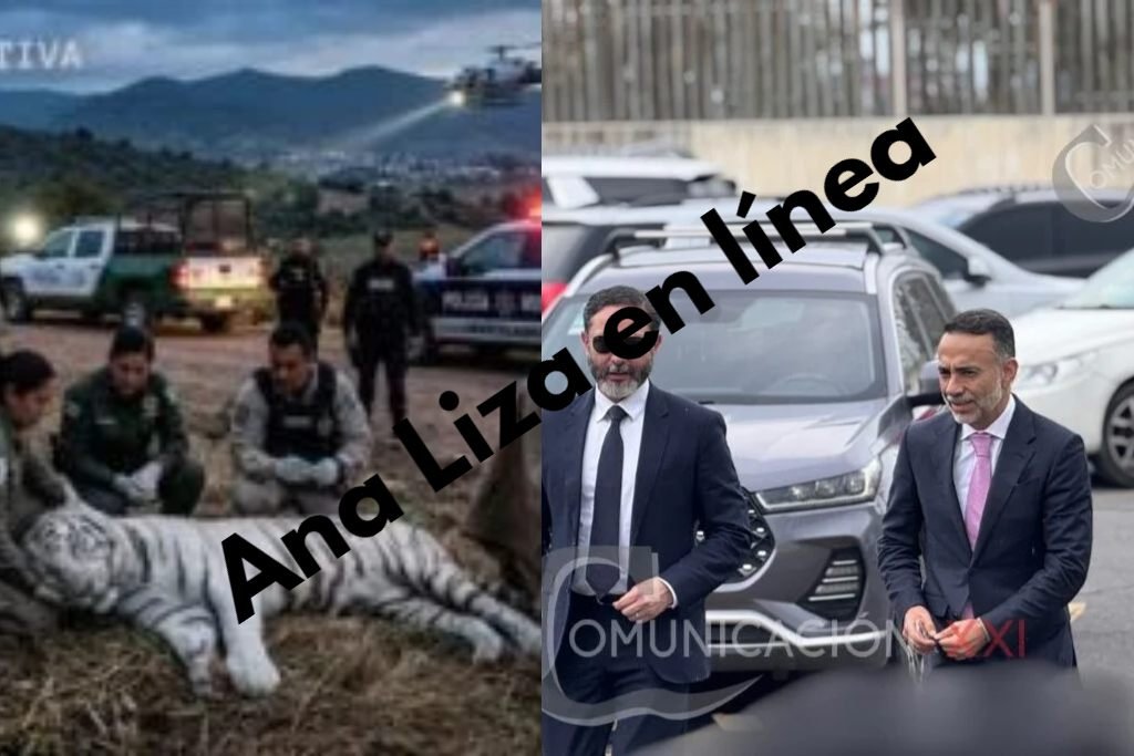Ana Liza en línea
