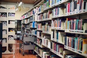 bibliteca del IEEM