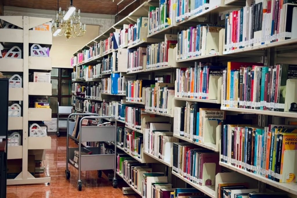 bibliteca del IEEM