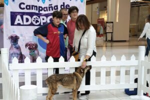 475 perros de Huixquilucan fueron adoptados en Huixquilucan