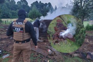 Aseguran centro de almacenamiento ilegal de madera en Ocuilan