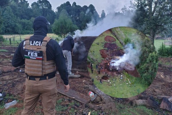 Aseguran centro de almacenamiento ilegal de madera en Ocuilan