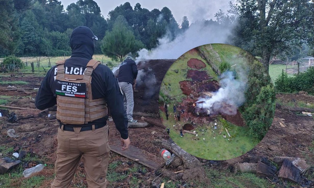 Aseguran centro de almacenamiento ilegal de madera en Ocuilan
