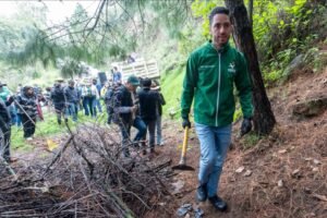 meta de reforestacion cumplida