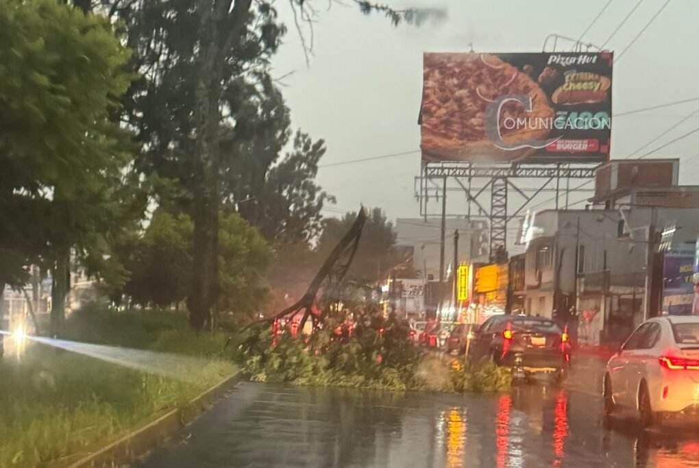 atienden afectaciones por lluvias