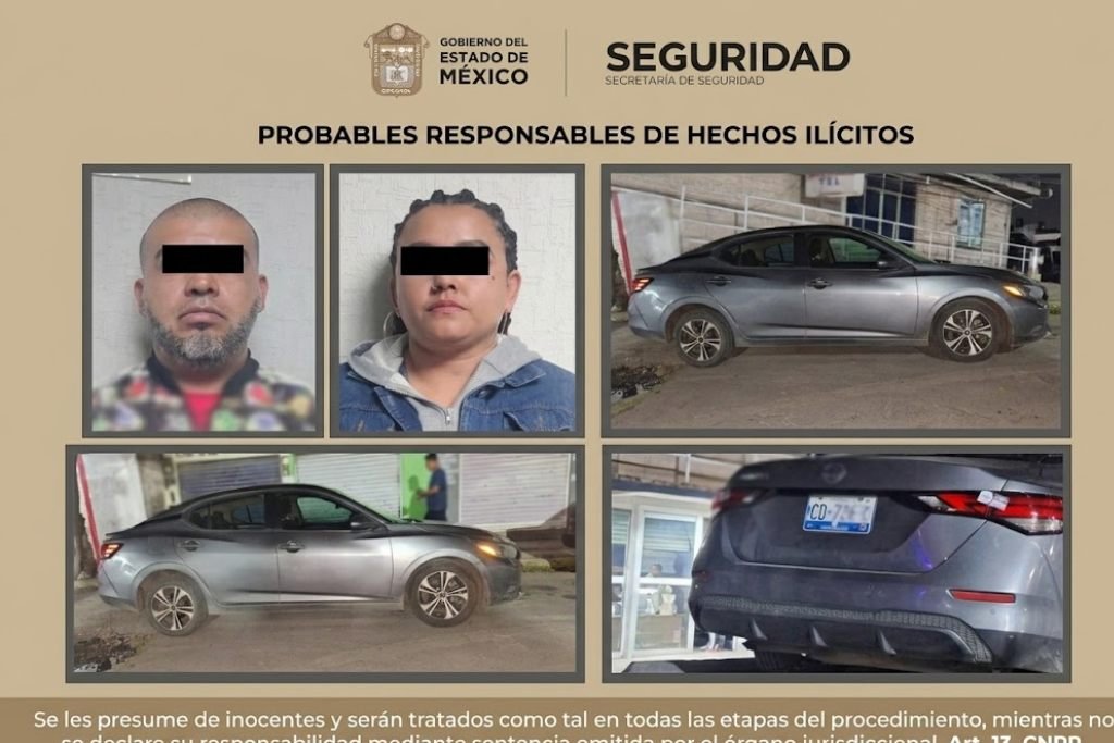 persecució y captura de ladrones