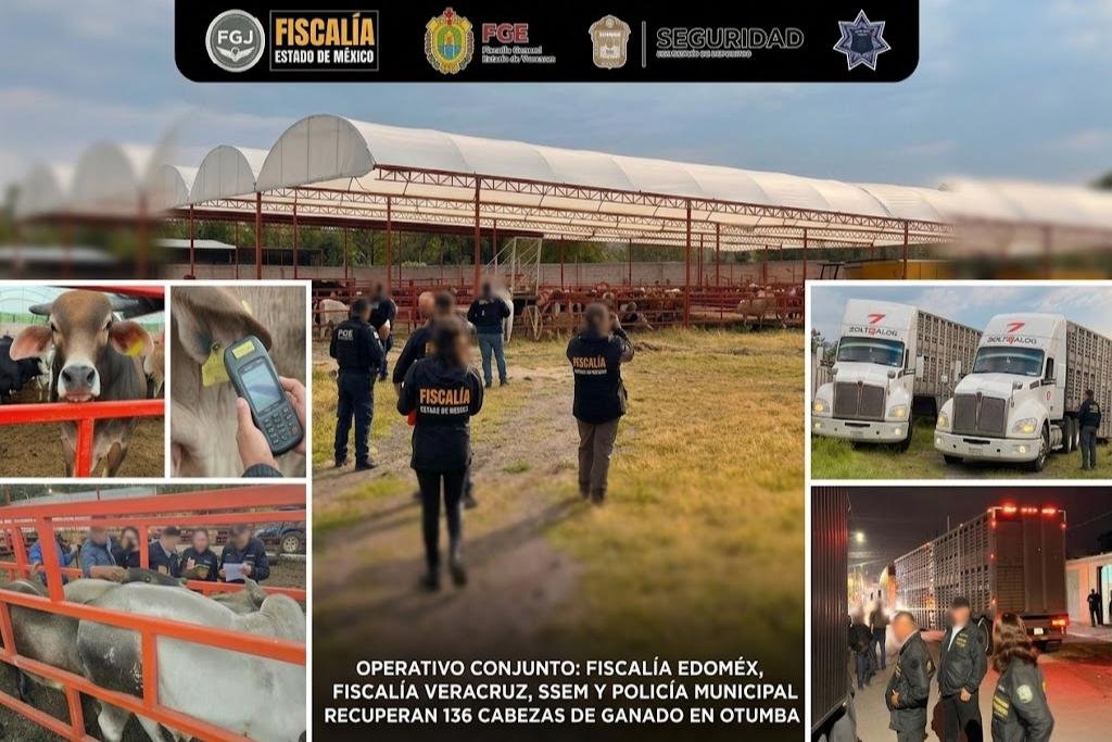 ganado robado en Veracruz