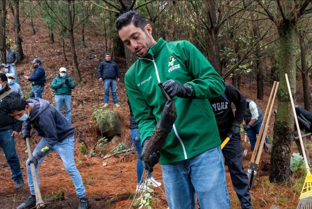 campaña nacional de reforestación
