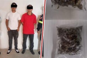 Caen a dos jóvenes con droga en San Felipe del Progreso
