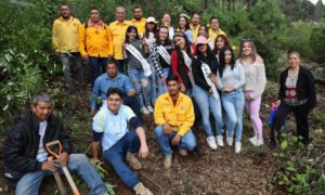 Huixquilucan supera los 15 mil árboles reforestados en la temporada de lluvias
