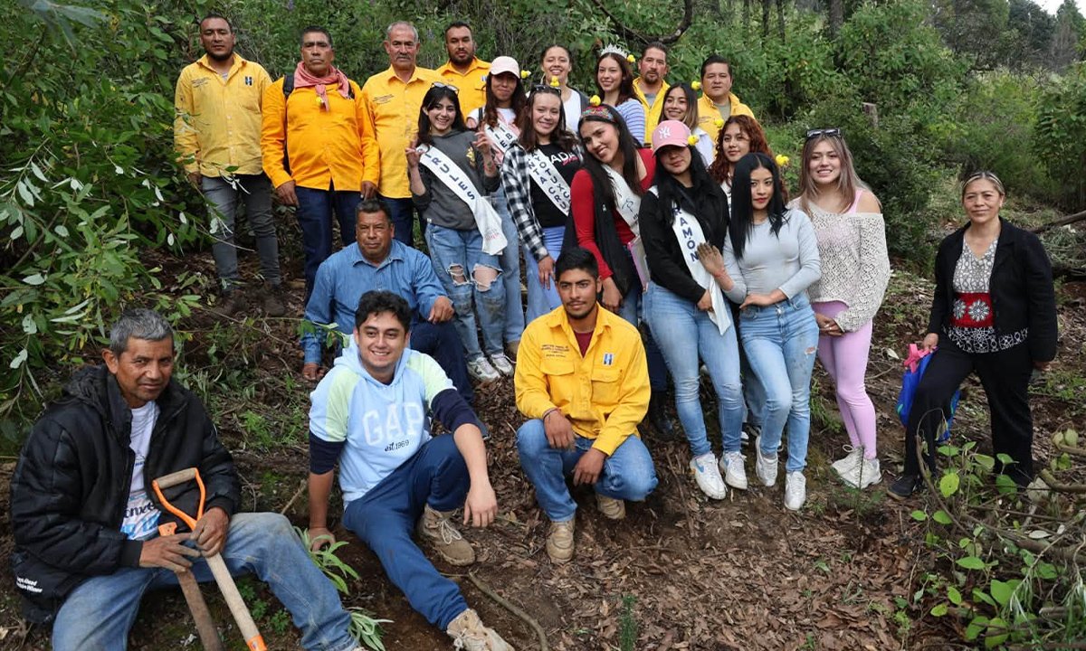 Huixquilucan supera los 15 mil árboles reforestados en la temporada de lluvias