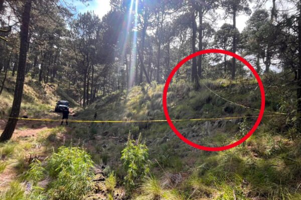 Restos óseos hallados en el Iztaccíhuatl