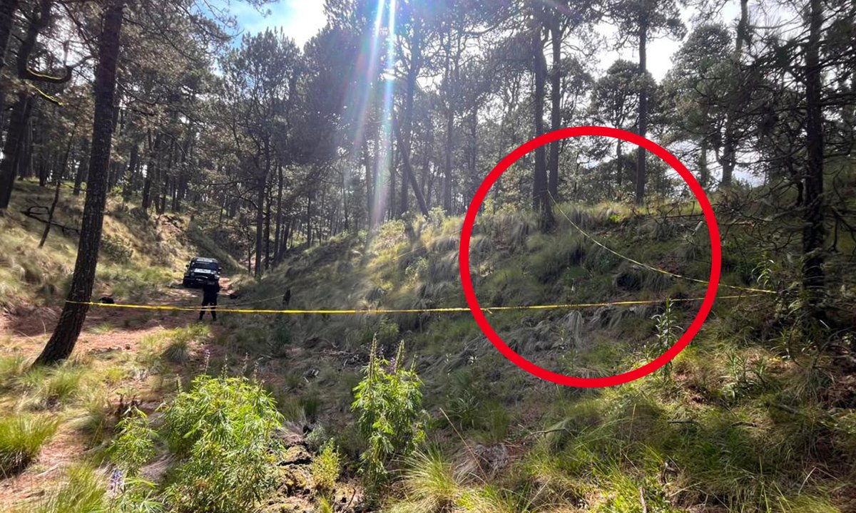 Restos óseos hallados en el Iztaccíhuatl