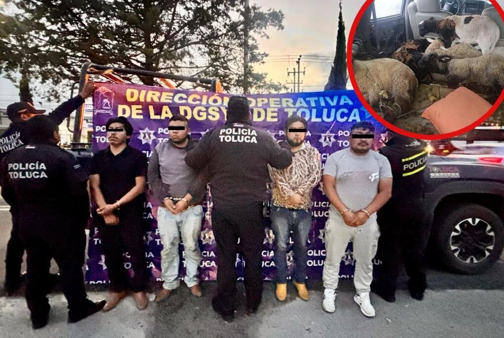 banda abigeato de Jiquipilco