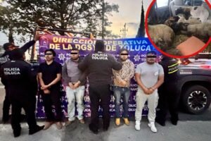banda abigeato de Jiquipilco