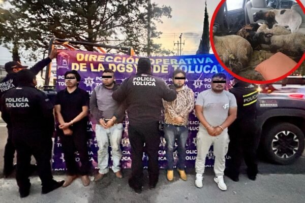 banda abigeato de Jiquipilco