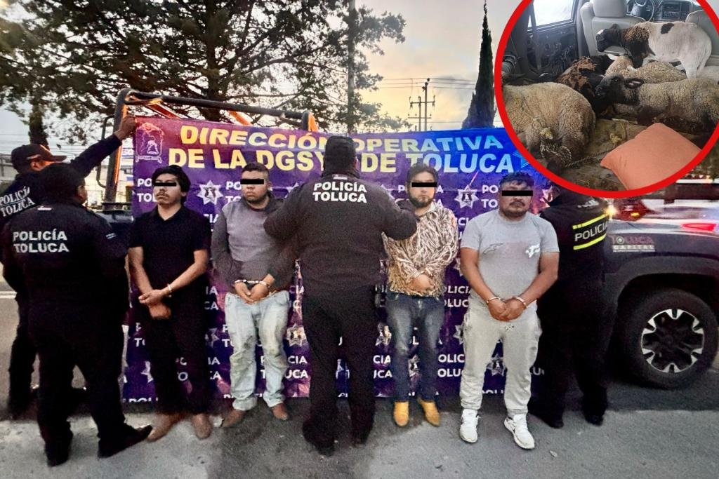 banda abigeato de Jiquipilco