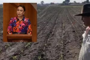 El campo necesita mejorar costos de producción